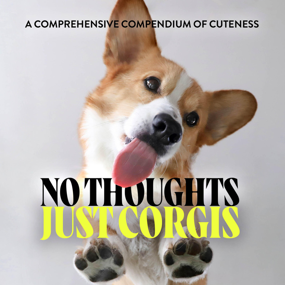 No Thoughts Just Corgis: A Comprehensive Compendium of Cuteness book cover by Union Square & Co.