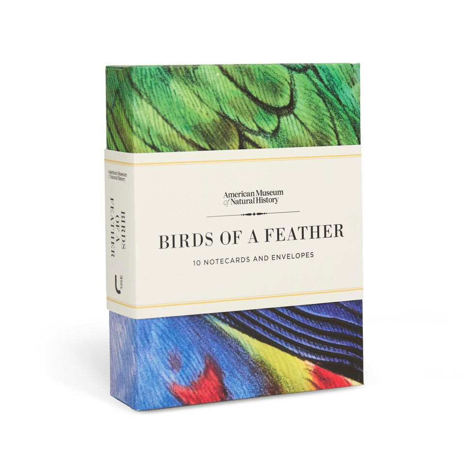 Birds of a Feather: 10 Notecards and Envelopes (Natural Histories Gift) book cover by American Museum of Natural History