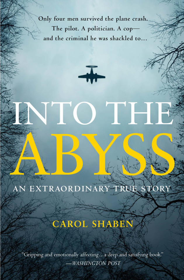 Into the Abyss: An Extraordinary True Story book cover by Carol Shaben