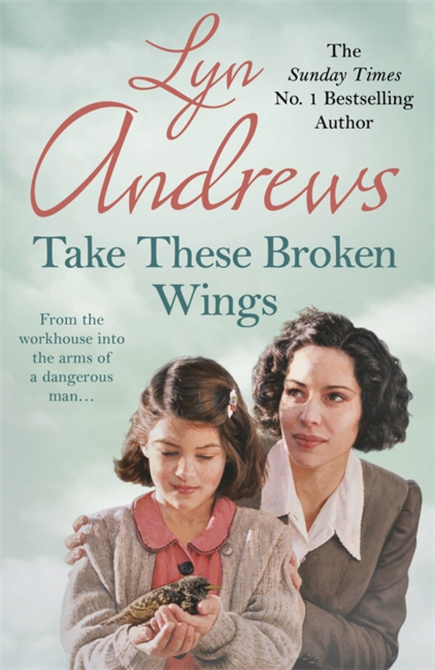 Take these Broken Wings book cover by Lyn Andrews