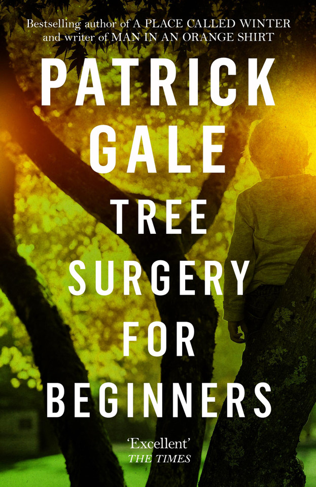 Tree Surgery for Beginners book cover by Patrick Gale