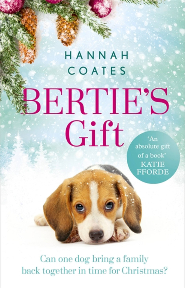Bertie's Gift book cover by Hannah Coates