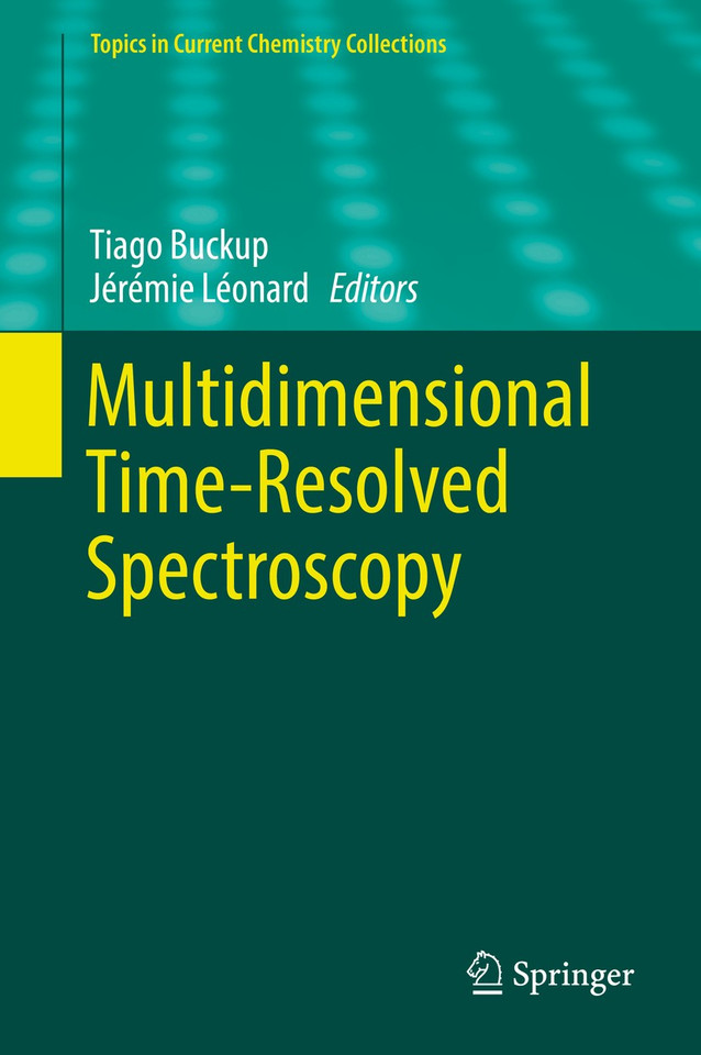 Multidimensional Time-Resolved Spectroscopy (Topics in Current Chemistry Collections) book cover by 