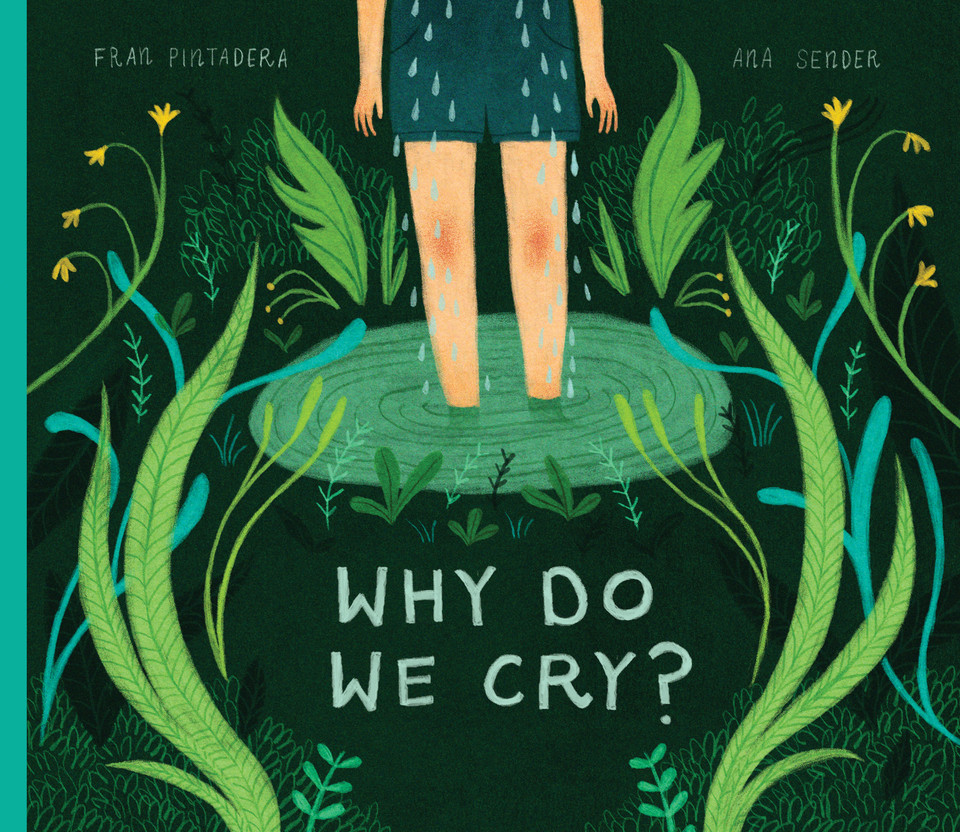 Why Do We Cry? book cover by Fran Pintadera