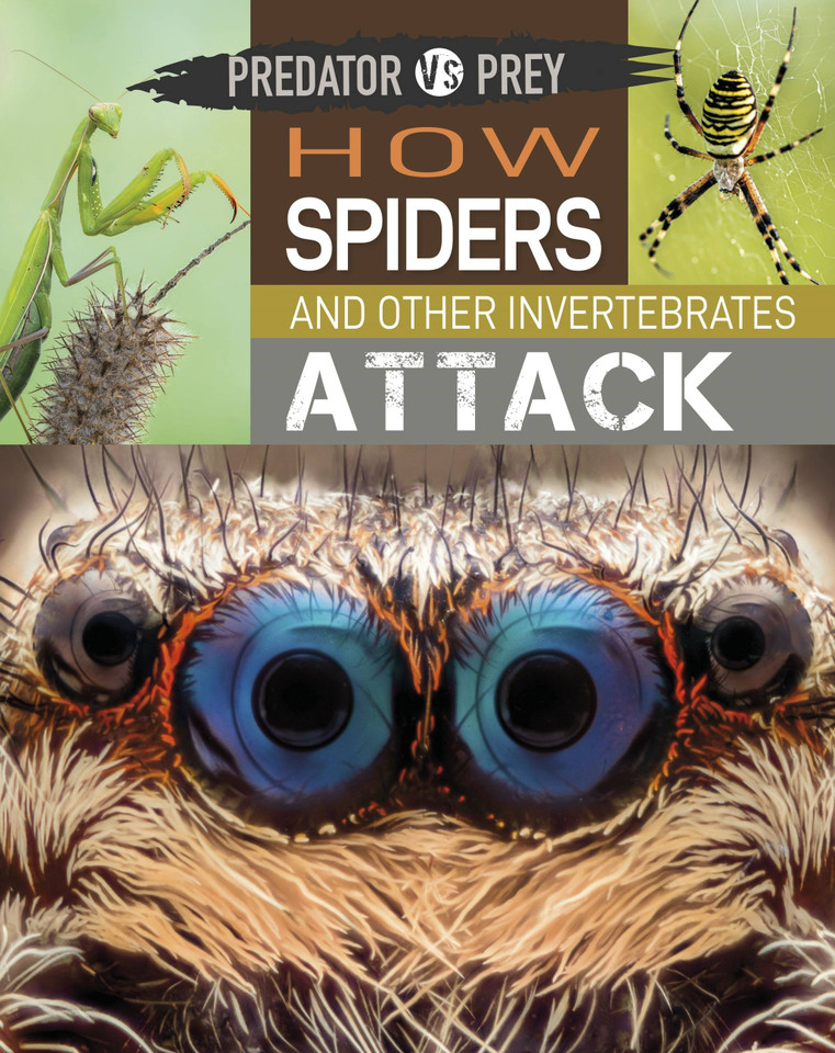 Predator vs Prey: How Spiders and other Invertebrates Attack! (Predator vs Prey) book cover by Tim Harris