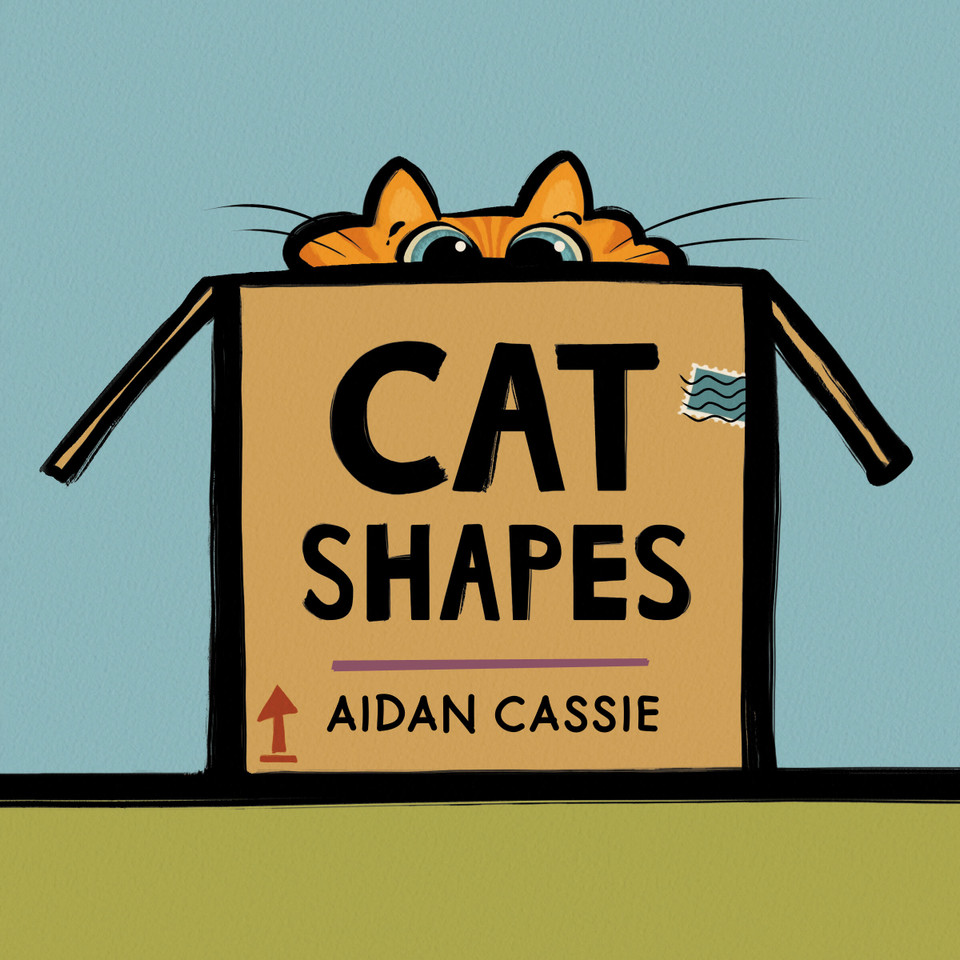 Cat Shapes book cover by Aidan Cassie