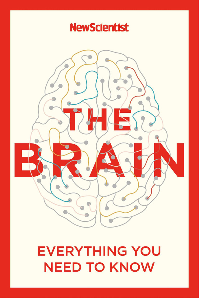The Brain: Everything You Need to Know book cover by New Scientist