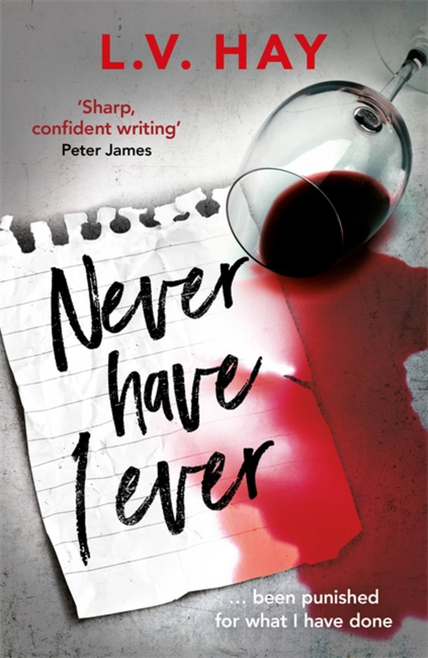 Never Have I Ever book cover by L.V. Hay