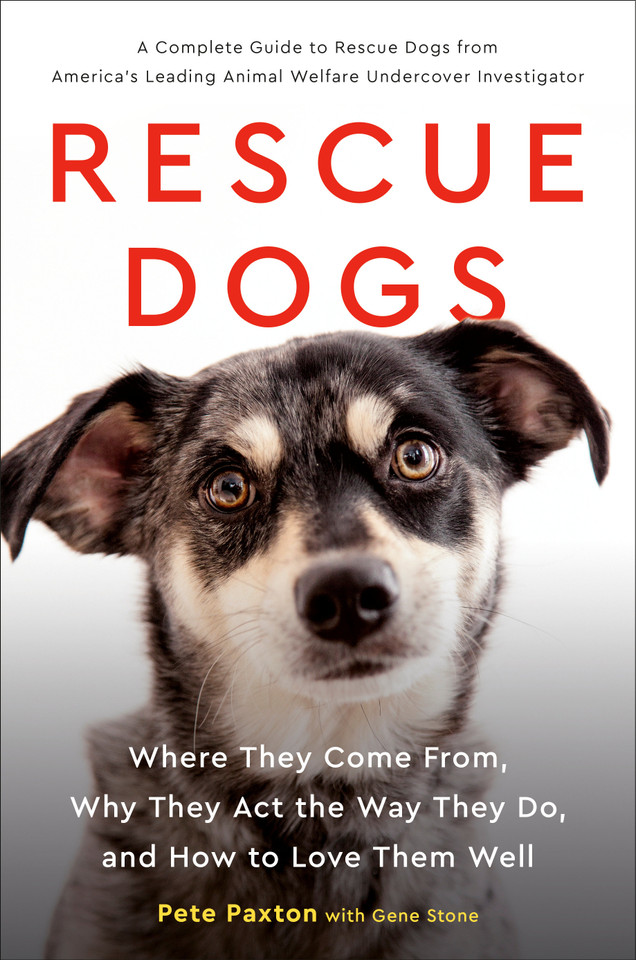 Rescue Dogs: Where They Come From, Why They Act the Way They Do, and How to Love Them Well book cover by Gene Stone, Pete Paxton