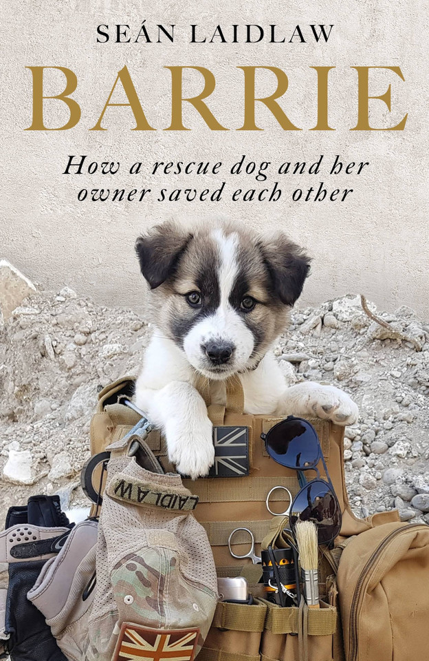 Barrie: How a rescue dog and her owner saved each other book cover by Sean Laidlaw