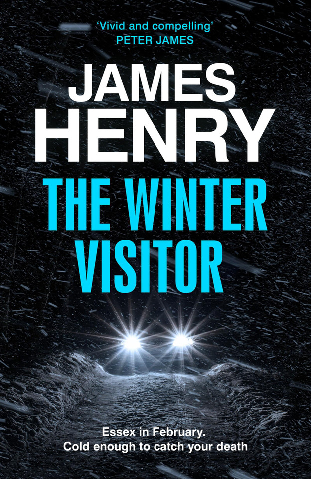 The Winter Visitor book cover by James Henry