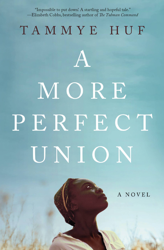 A More Perfect Union book cover by Tammye Huf