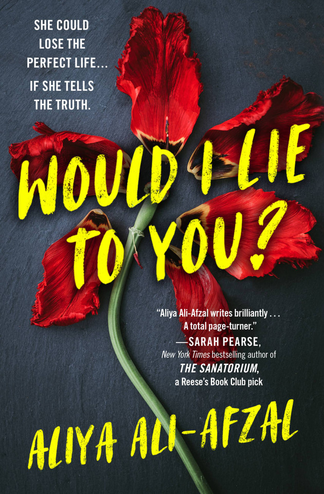 Would I Lie to You? book cover by Aliya Ali-Afzal