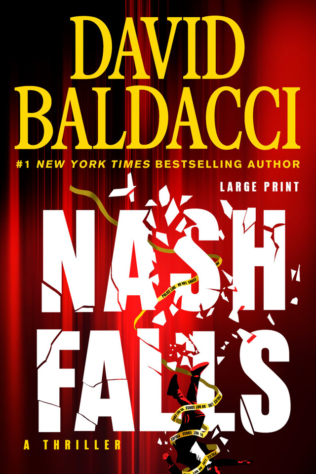 Nash Falls book cover by David Baldacci