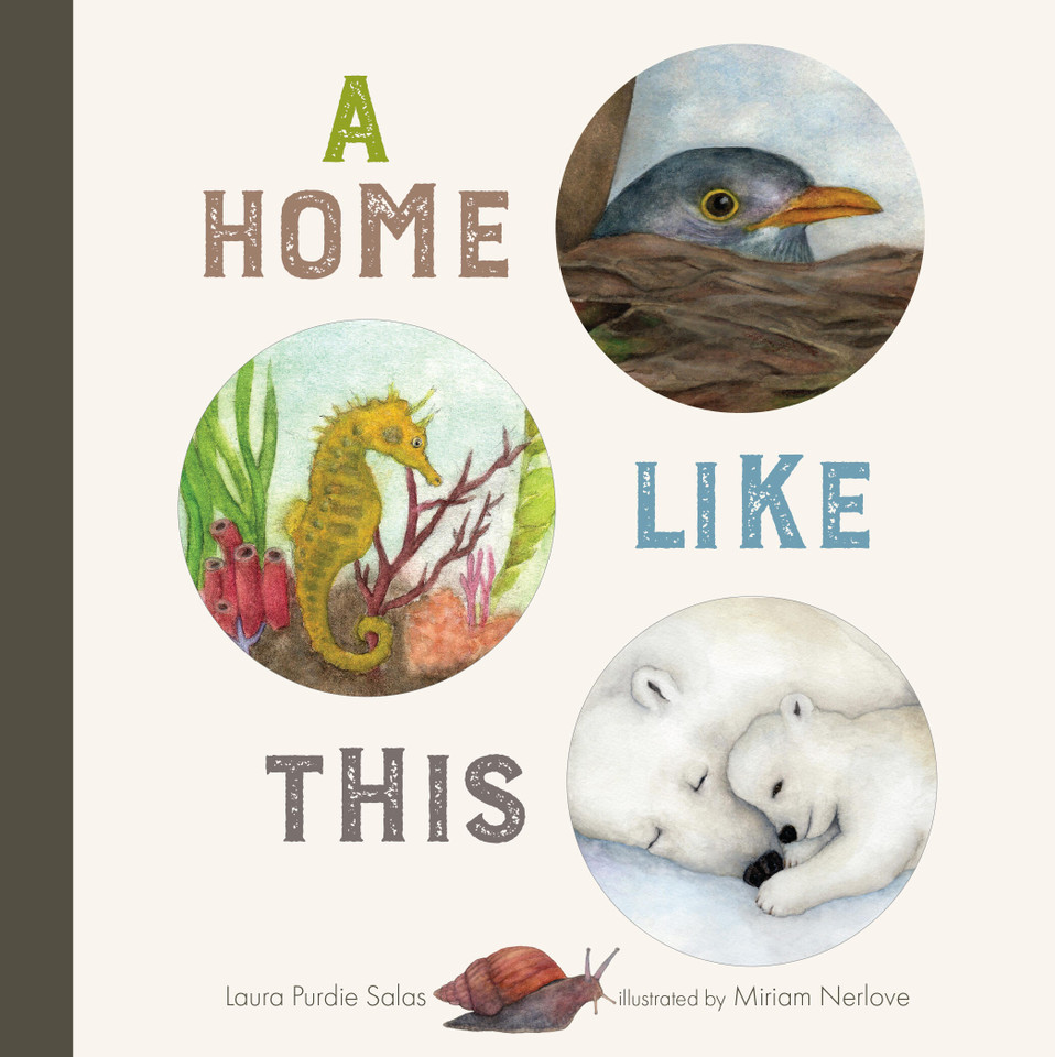 A Home Like This book cover by Laura Purdie Salas