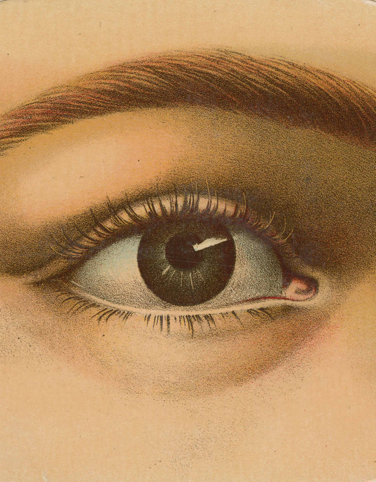 John Derian Picture Book (John Derian Paper Goods) book cover by John Derian