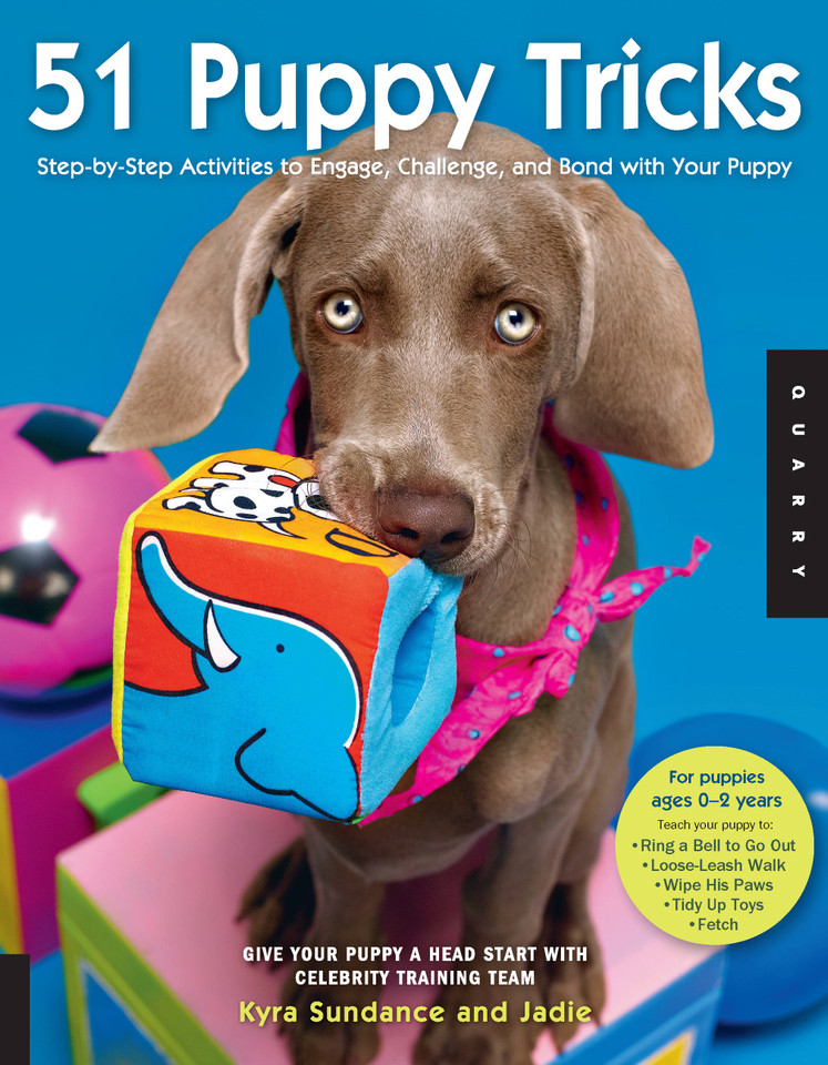 51 Puppy Tricks: Step-by-Step Activities to Engage, Challenge, and Bond with Your Puppy (Dog Tricks and Training) book cover by Kyra Sundance