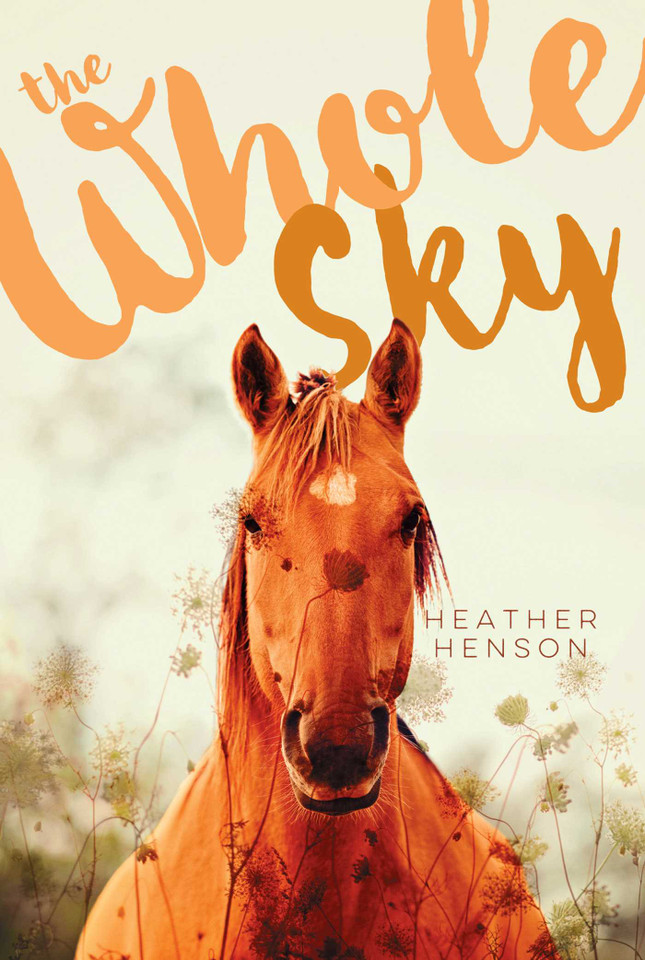 The Whole Sky book cover by Heather Henson