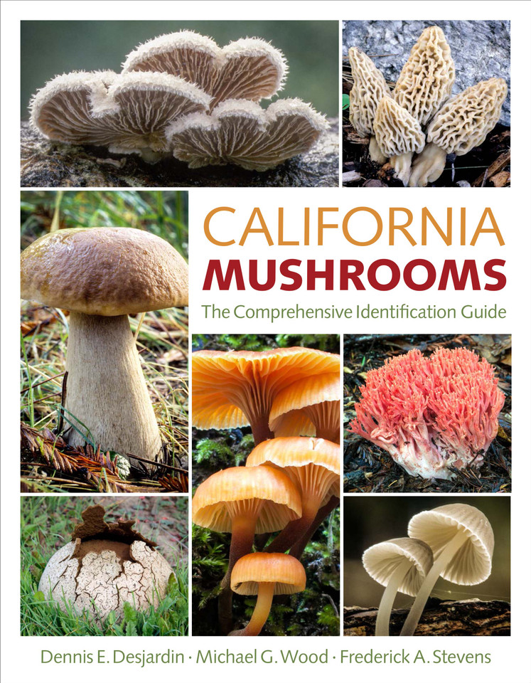 California Mushrooms: The Comprehensive Identification Guide book cover by Dennis E. Desjardin, Frederick A. Stevens, Michael G. Wood