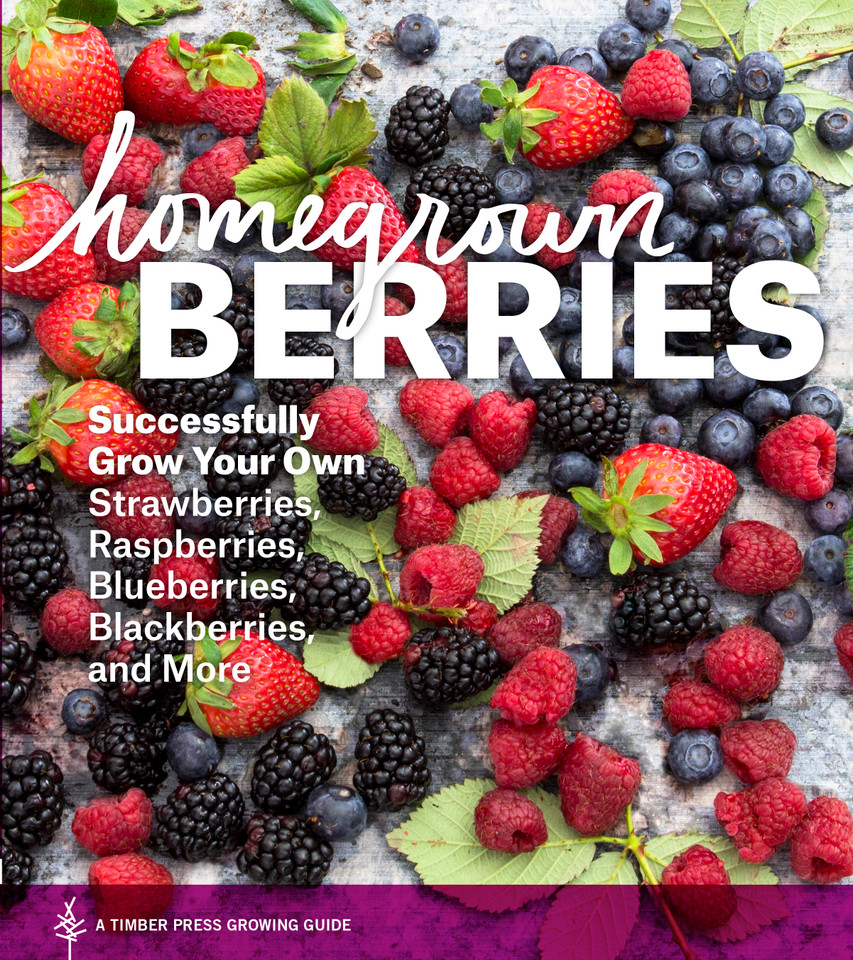 Homegrown Berries: Successfully Grow Your Own Strawberries, Raspberries, Blueberries, Blackberries, and More book cover by Timber Press