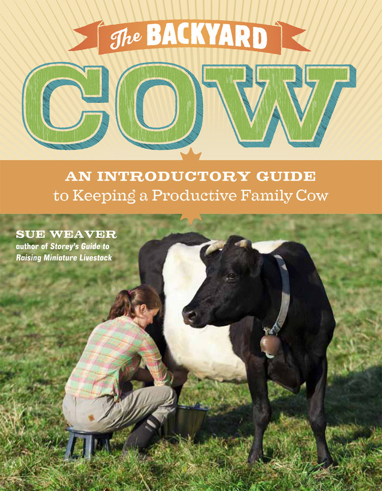 The Backyard Cow: An Introductory Guide to Keeping a Productive Family Cow book cover by Sue Weaver