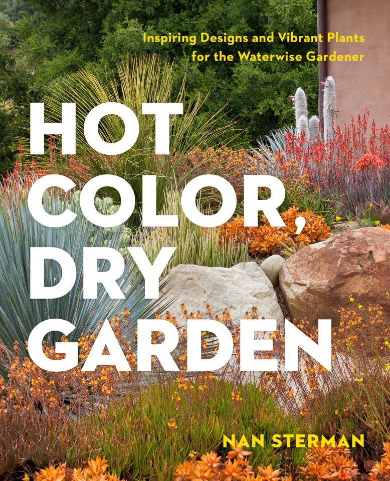 Hot Color, Dry Garden: Inspiring Designs and Vibrant Plants for the Waterwise Gardener book cover by Nan Sterman
