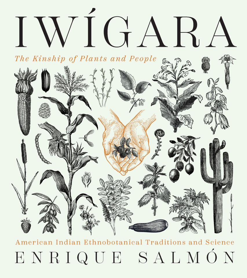 Iwigara: American Indian Ethnobotanical Traditions and Science book cover by Enrique Salmon