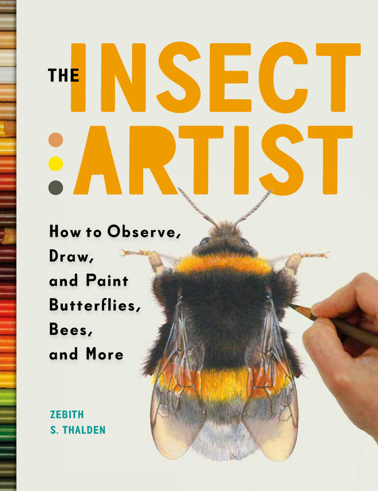 The Insect Artist: How to Observe, Draw, and Paint Butterflies, Bees, and More book cover by Zebith Stacy Thalden