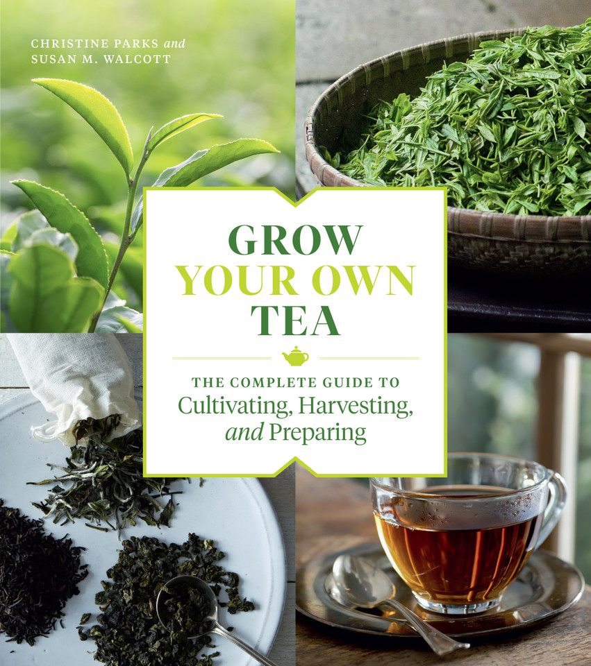 Grow Your Own Tea: The Complete Guide to Cultivating, Harvesting, and Preparing book cover by Susan M. Walcott, Christine Parks
