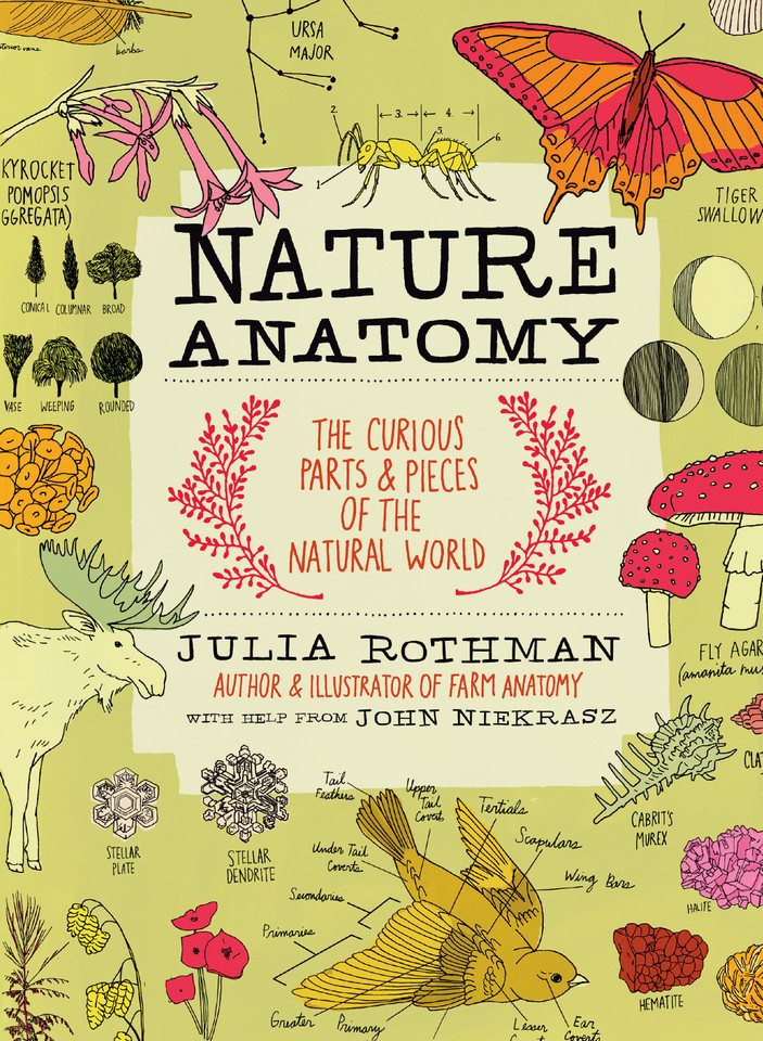 Nature Anatomy: The Curious Parts and Pieces of the Natural World (Anatomy) book cover by Julia Rothman