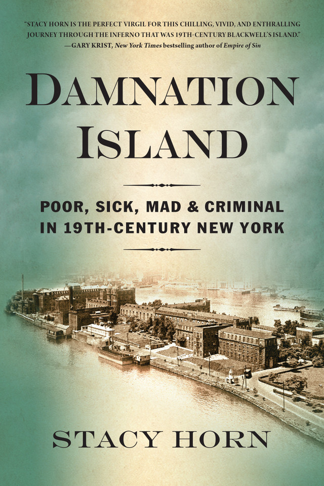 Damnation Island: Poor, Sick, Mad, and Criminal in 19th-Century New York book cover by Stacy Horn