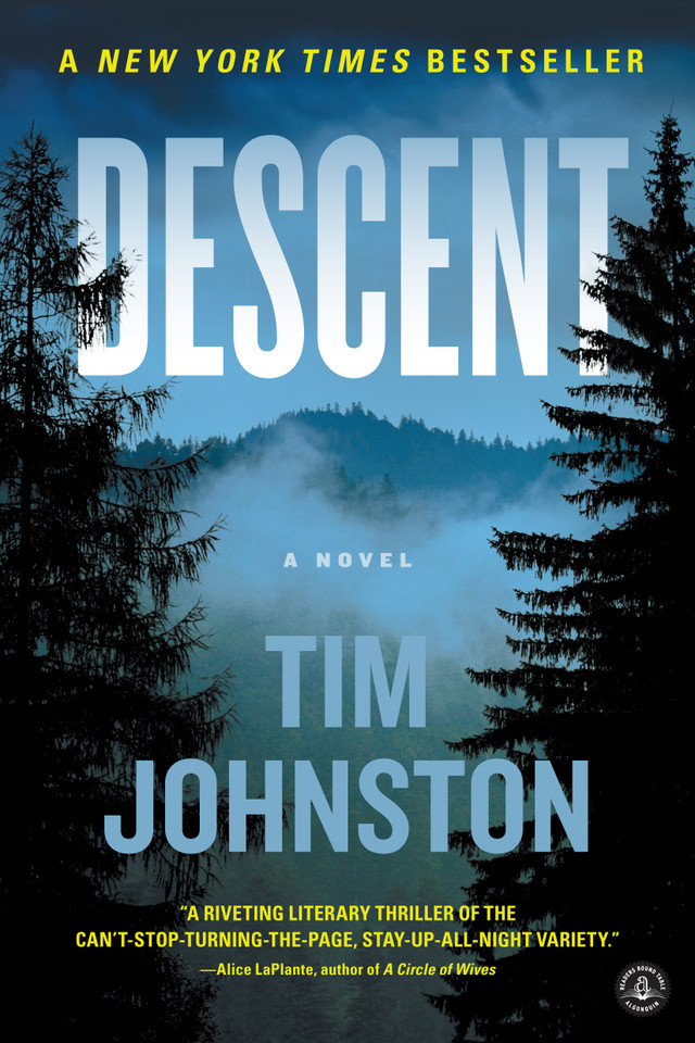 Descent: A Novel book cover by Tim Johnston