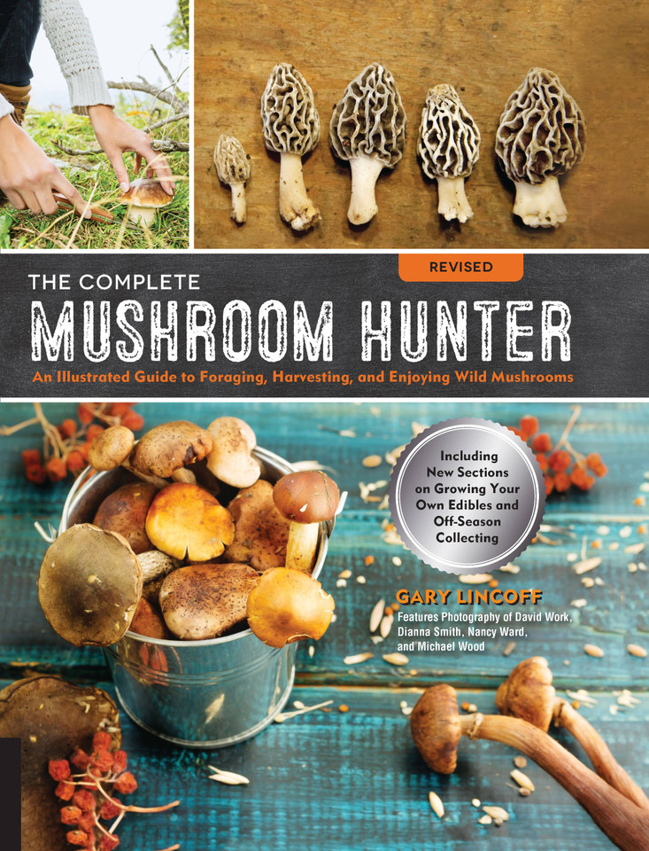 The Complete Mushroom Hunter, Revised: Illustrated Guide to Foraging, Harvesting, and Enjoying Wild Mushrooms - Including new sections on growing your own incredible edibles and off-season collecting book cover by Gary Lincoff