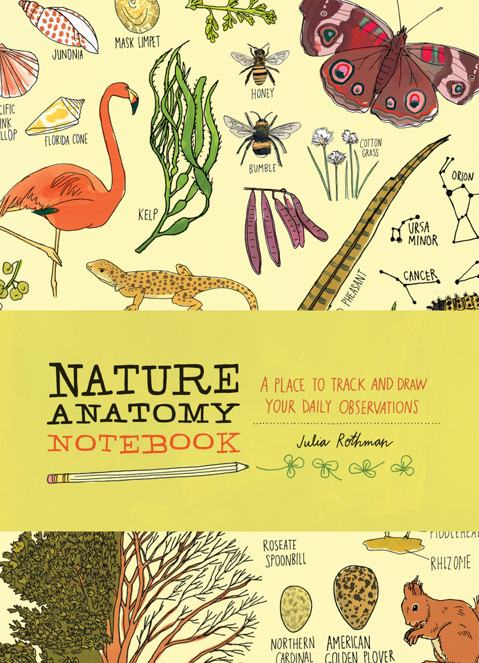 Nature Anatomy Notebook: A Place to Track and Draw Your Daily Observations (Anatomy) book cover by Julia Rothman