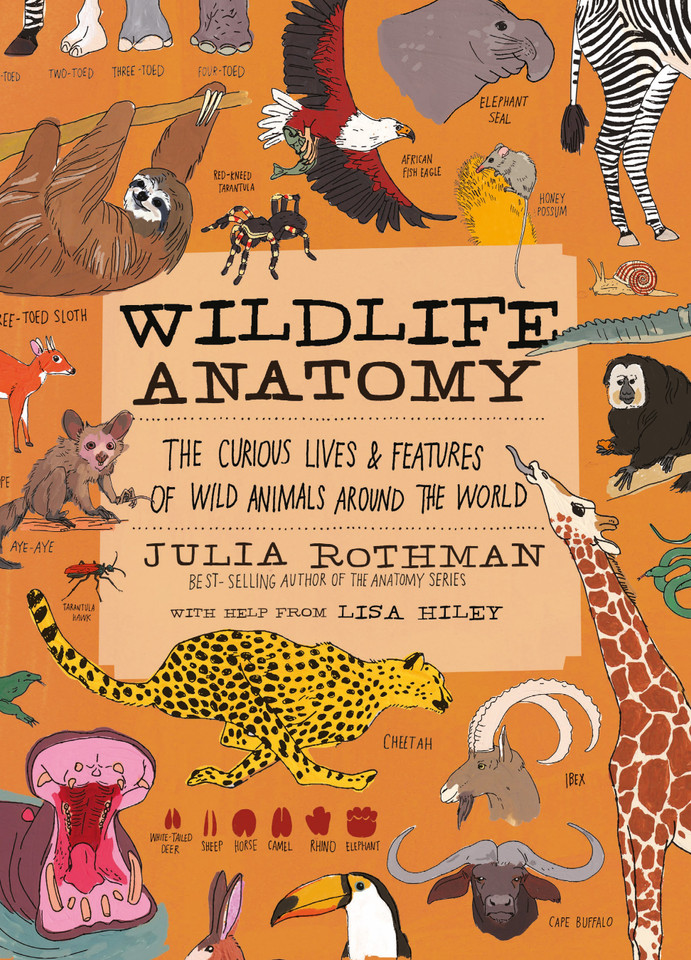 Wildlife Anatomy: The Curious Lives & Features of Wild Animals around the World (Anatomy) book cover by Julia Rothman