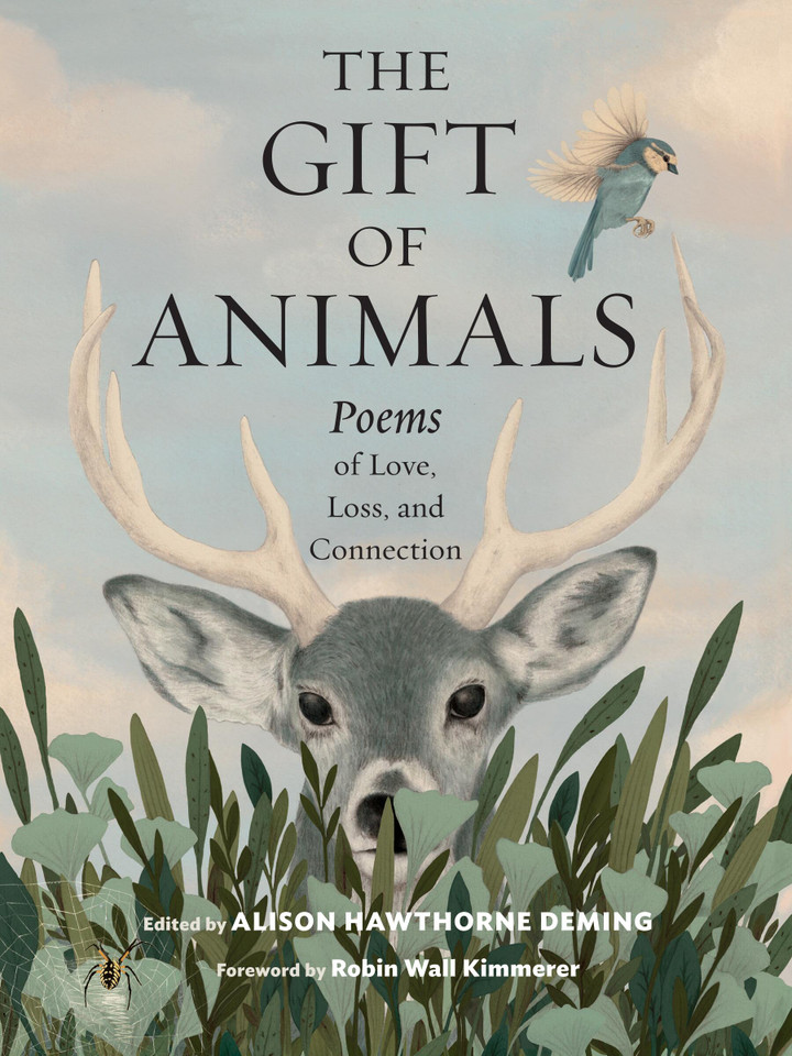 The Gift of Animals: Poems of Love, Loss, and Connection book cover by Alison Hawthorne Deming
