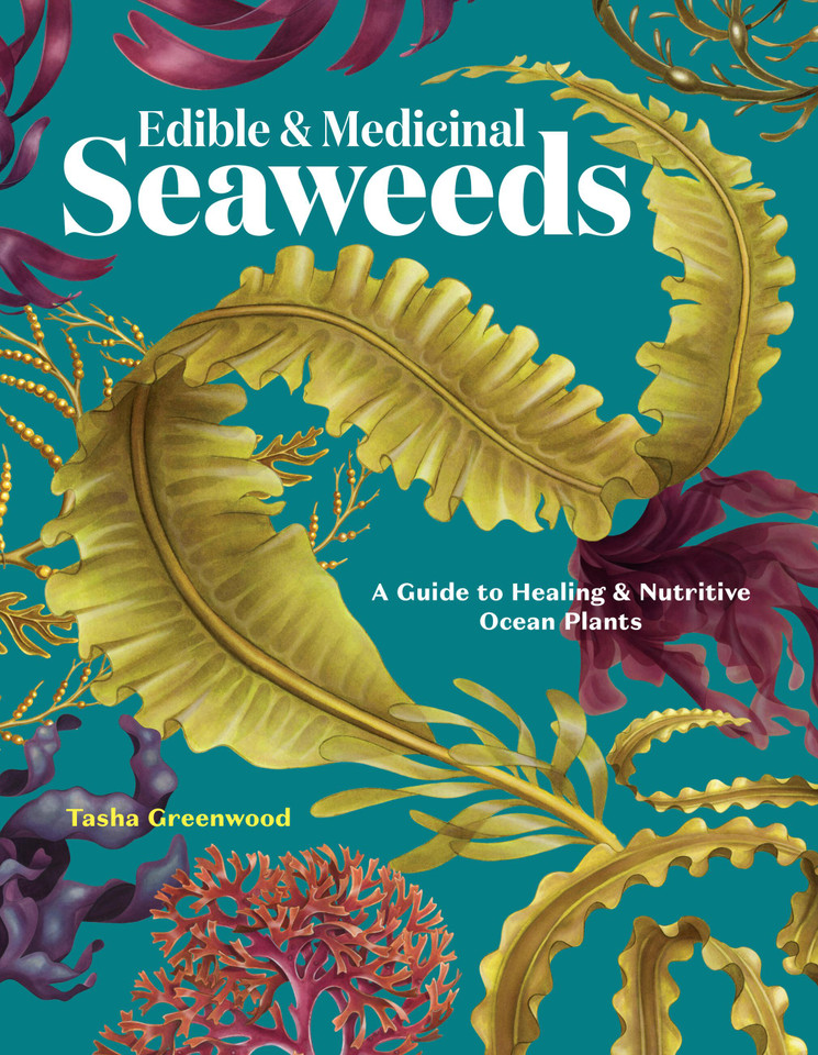 Edible & Medicinal Seaweeds: A Guide to Healing & Nutritive Ocean Plants book cover by Tasha Greenwood