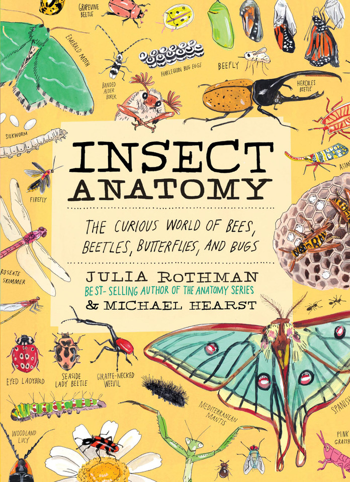 Insect Anatomy: The Curious World of Bees, Beetles, Butterflies, and Bugs (Anatomy) book cover by Michael Hearst, Julia Rothman