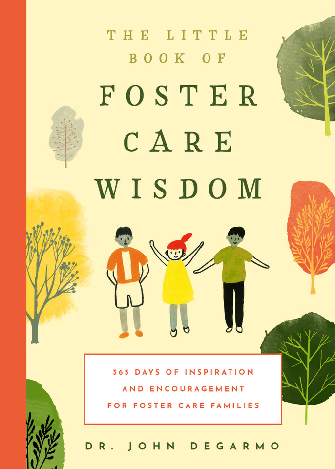The Little Book of Foster Care Wisdom: 365 Days of Inspiration and Encouragement for Foster Care Families book cover by John DeGarmo