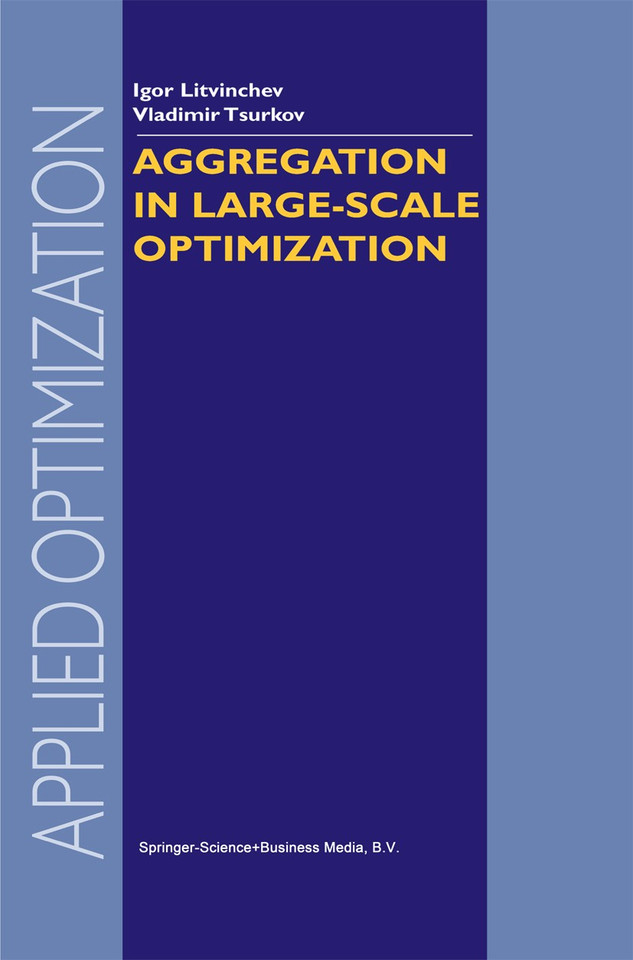 Aggregation in Large-Scale Optimization (Applied Optimization #83) book cover by I. Litvinchev, Vladimir Tsurkov