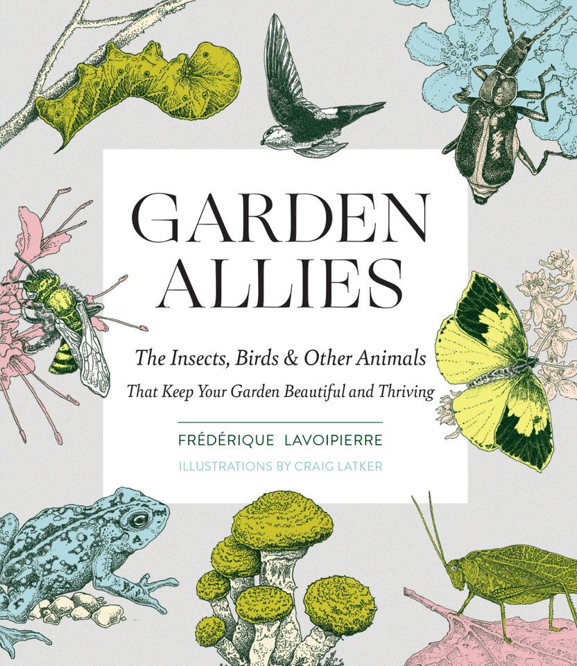Garden Allies: The Insects, Birds, and Other Animals That Keep Your Garden Beautiful and Thriving book cover by Frederique Lavoipierre