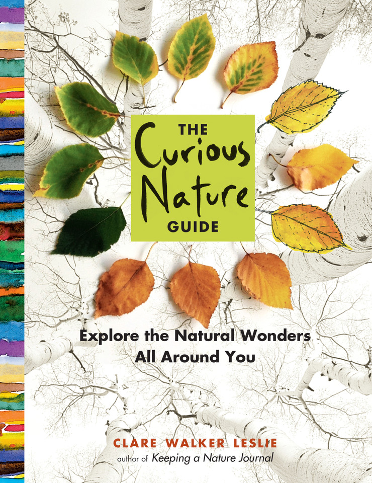 The Curious Nature Guide: Explore the Natural Wonders All Around You book cover by Clare Walker Leslie