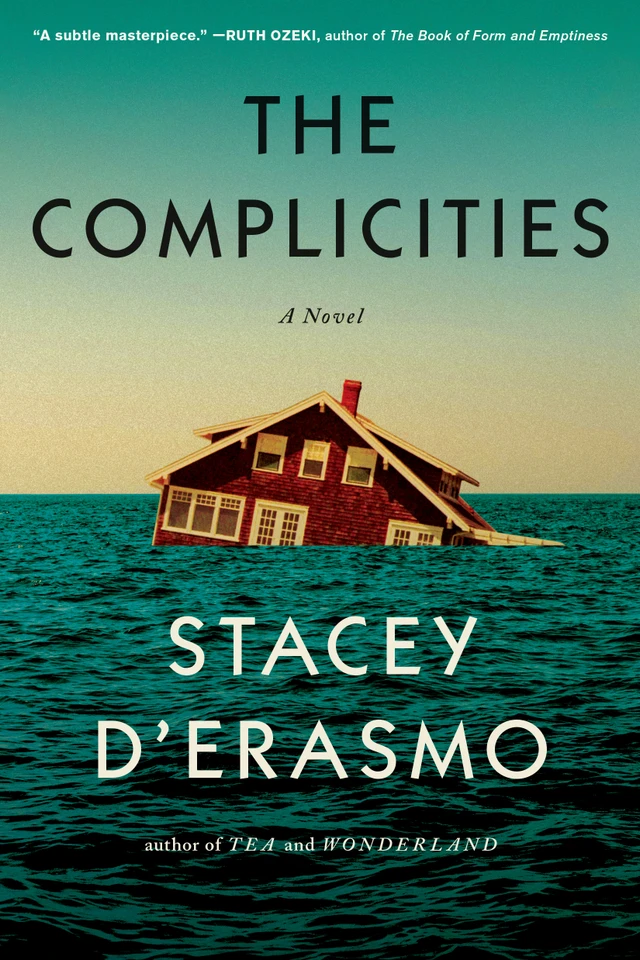 The Complicities book cover by Stacey D'Erasmo