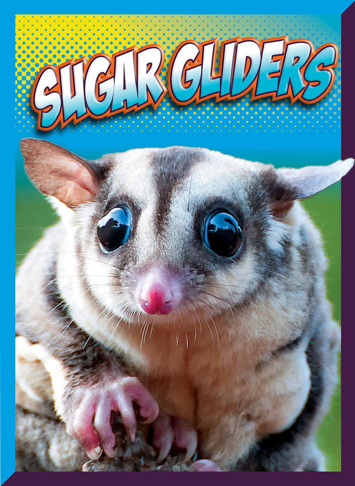 Sugar Gliders book cover by Marysa Storm