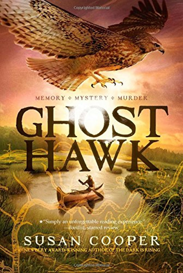Ghost Hawk Cover