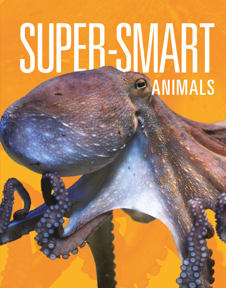Super-Smart Animals book cover by Joanne Mattern