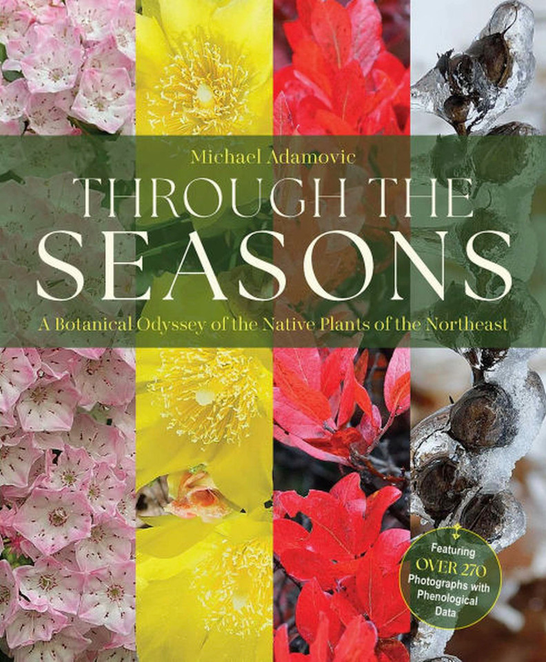 Through the Seasons: A Botanical Odyssey of the Native Plants of the Northeast book cover by Michael Adamovic