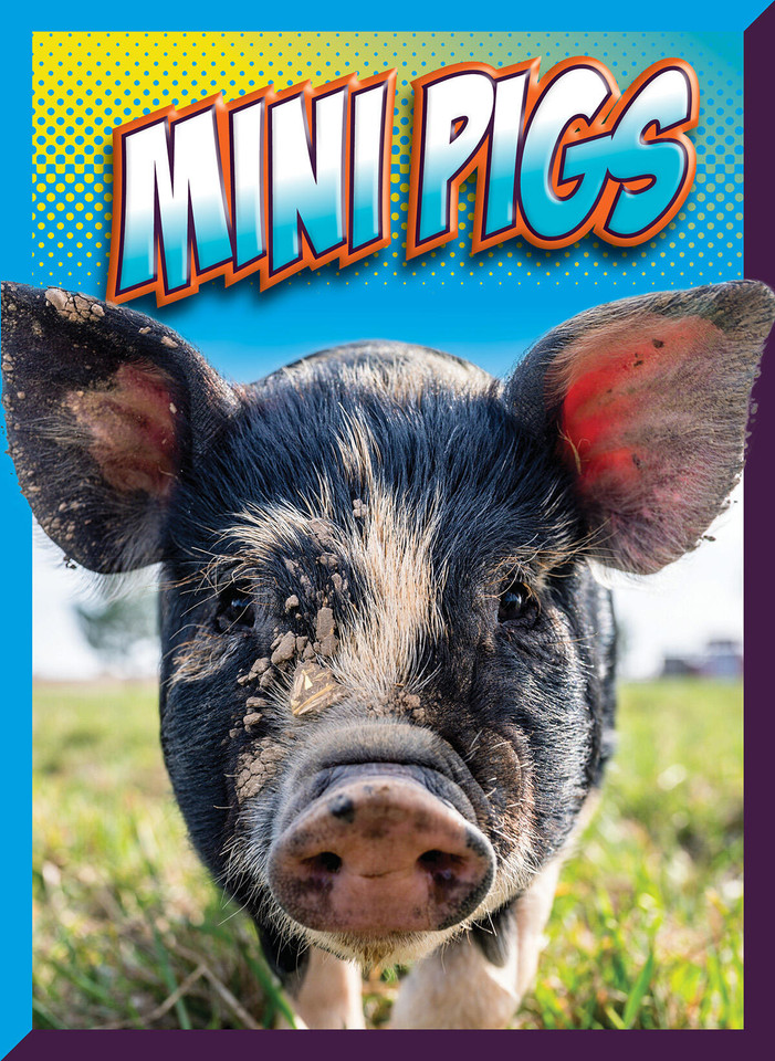 Mini Pigs book cover by Marysa Storm