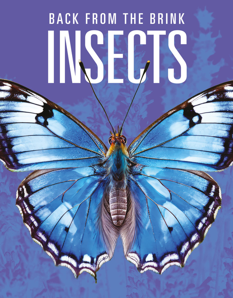 Insects: Back from the Brink book cover by Joanne Mattern