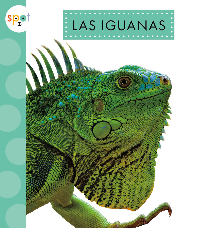 Las iguanas book cover by Alissa Thielges